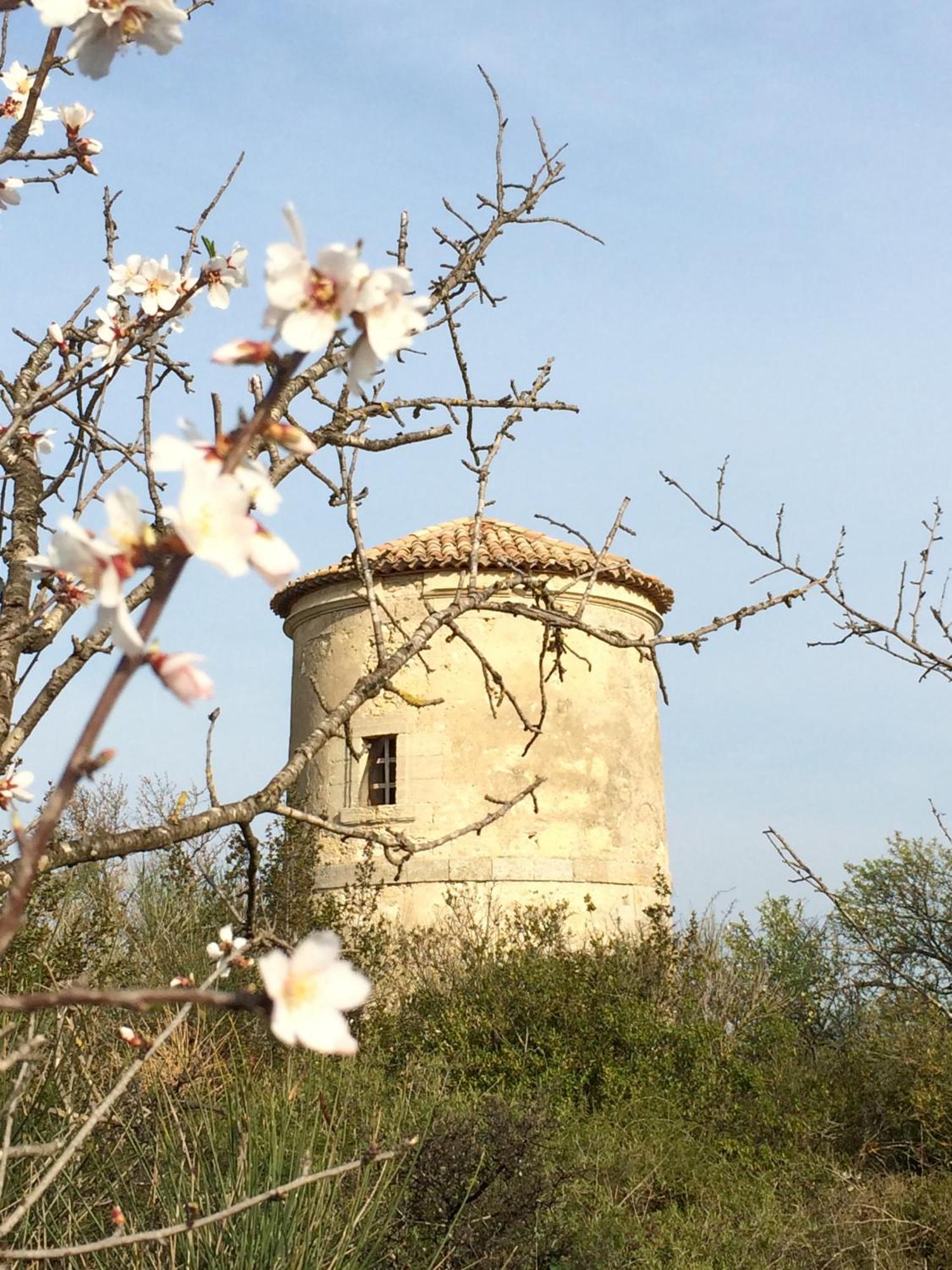 Вилла Chateau Pech-Celeyran Salles-d'Aude Экстерьер фото