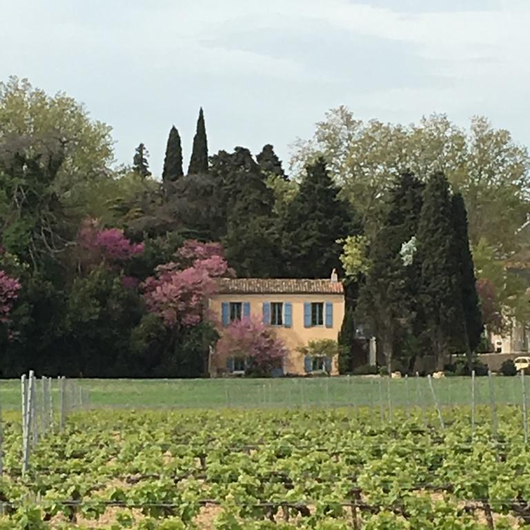 Вилла Chateau Pech-Celeyran Salles-d'Aude Экстерьер фото